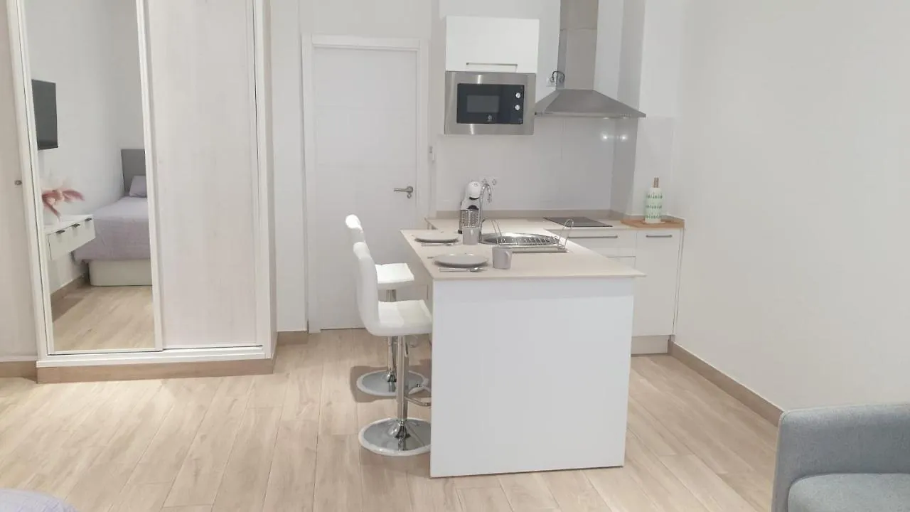 Estudio Moderno Con Opcion De Garaje Apartment Seville